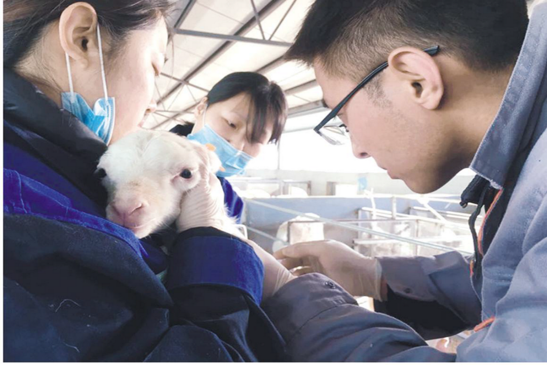 當(dāng)好產(chǎn)業(yè)扶貧主力軍，打贏脫貧攻堅(jiān)戰(zhàn)